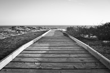 Boardwalk in the beach,black and white background