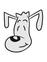 face head pooch tiny sweet little cute dog puppy