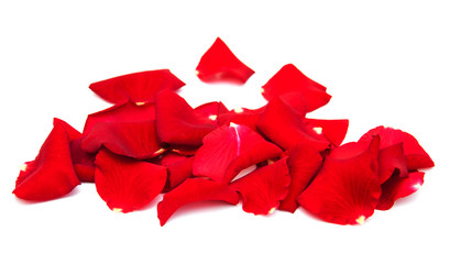 Red roses petals