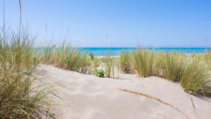 Maremma beach