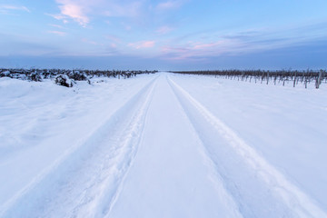 Fototapeta na wymiar Tire track in the snow