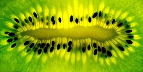Kiwi close-up of juicy green