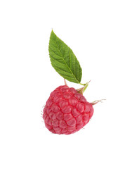 raspberry with leaves isolated on white background