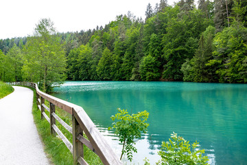 Bergsee im Wald