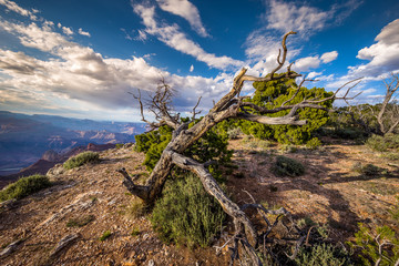 Grand Canyon, South Rim viewpoints