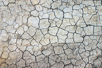 Dry cracked earth