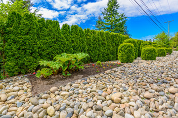 Flowers and stones in front of the house, front yard. Landscape design.