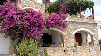 Fototapeta na wymiar Фрагмент Греческого дома в цветущих растениях. 