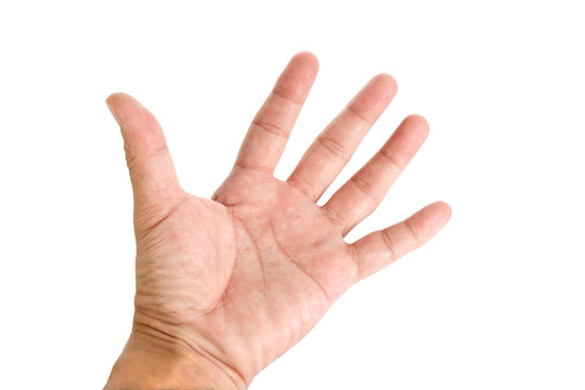 Human hand / Human hand showing the five fingers on white background.