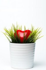 Red heart lying in the grass for St. Valentines day
