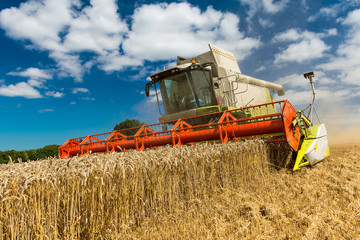 GPS-guided harvesters during the grain harvest - 2871