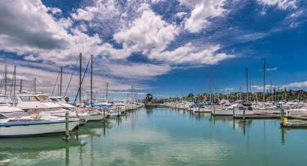 Yachts moored in Pine Harbor, Auckland, New Zealand