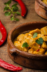 Delicious chicken curry