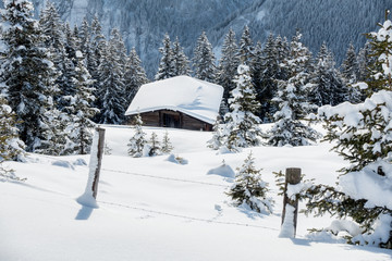 Fototapeta na wymiar Schihütte im verschneiten Wald