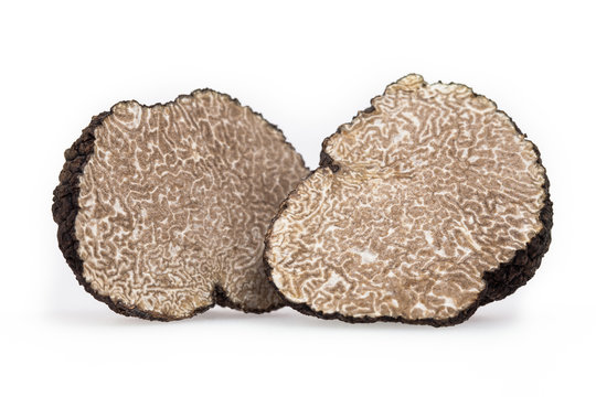 Truffle (in Cross Section Isolated on White)