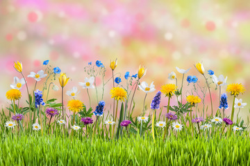 Background with beautiful flowers