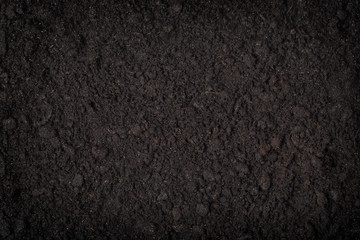 close up of black soil