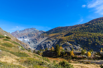 Naklejka premium Autumn view of Aletsch glacier and Eggishorn