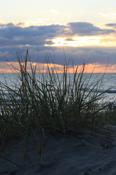 Dunes in Lithuania, year 2012