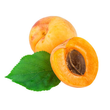Apricot fruit whole half with green leaf isolated on white