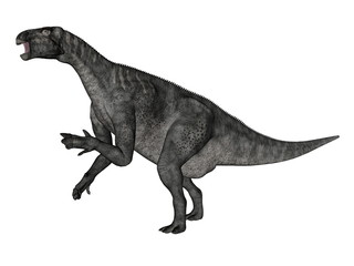 Obraz na płótnie Canvas Iguanodon dinosaur roaring while walking - 3D render