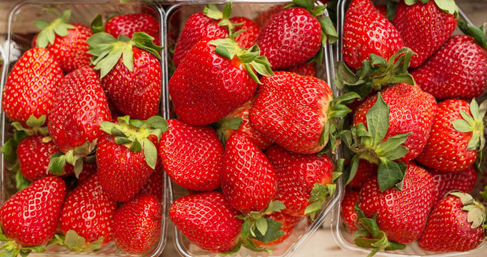 Fresh strawberries in baskets ready for sale.