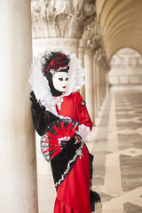 Fototapeta na wymiar A sensual mask at Venice carnival