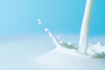 splash of milk, pouring jet stream of milk  on a light blue background