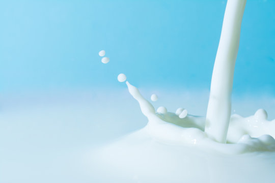 splash of milk, pouring jet stream of milk  on a light blue background