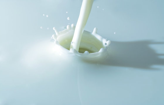 splash of milk, pouring jet stream of milk  on a light blue background