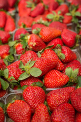 Fresh red strawberries arranged in baskets ready for sale at marketplace. Shallow depth of field.