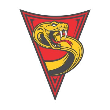 snake emblem triangle