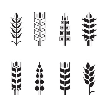 Wheat ear symbols for logo icon set, leaves icons, graphic design elements