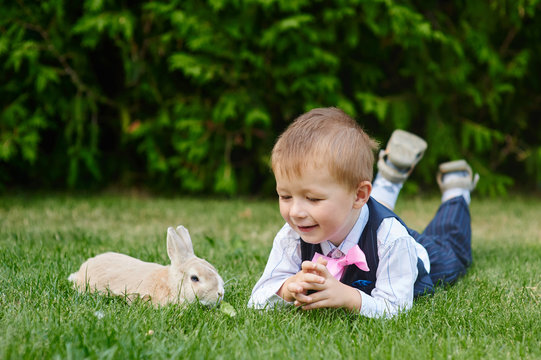 little boy playing with a rabbit on the grass in the park