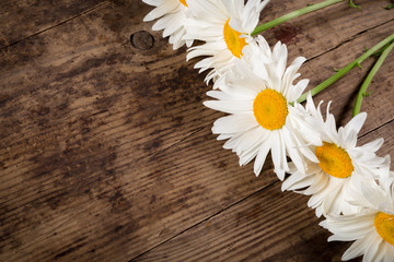 chamomile flowers on wooden background