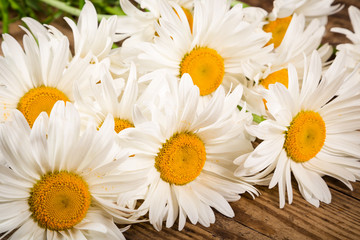 chamomile flowers on wooden table