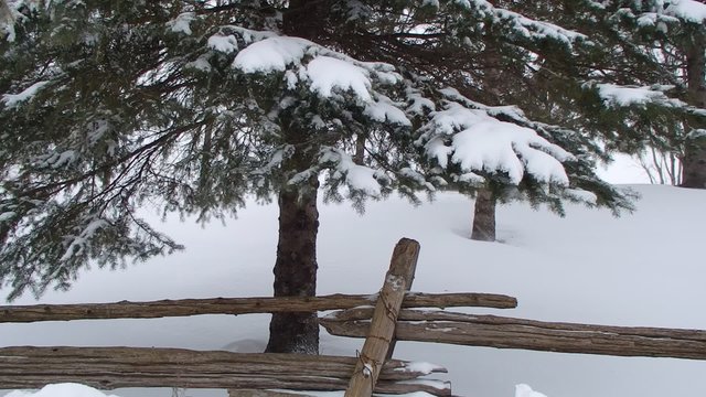 hiver