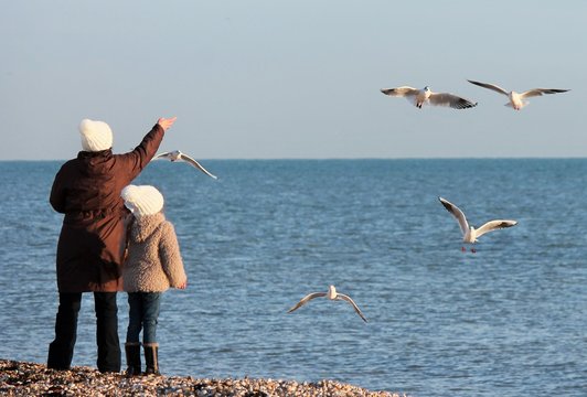 family feeding flock of seagulls at pebble beach