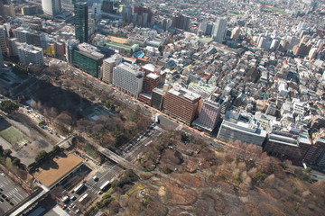 Naklejka premium 東京の風景、公園とビル群