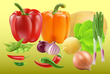 Naklejka na ściany i meble Set of fresh vegetables for your design