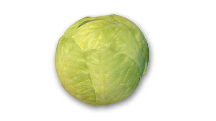 Cabbage head, vegetable isolated on white background, close-up view