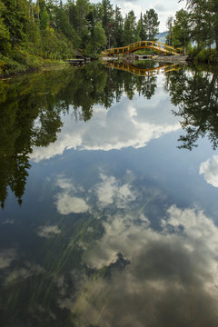 Blue sky reflected in a beautiful river