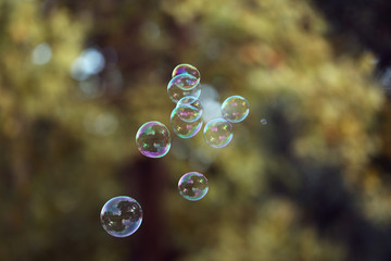 Soap bubbles outdoor