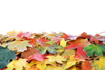 Fototapeta na wymiar Frame of autumn maple leaves with copy space on white background