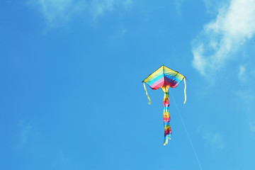 Kite in blue sky background