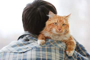 Fototapeta na wymiar Fluffy red cat sitting on a man's shoulder