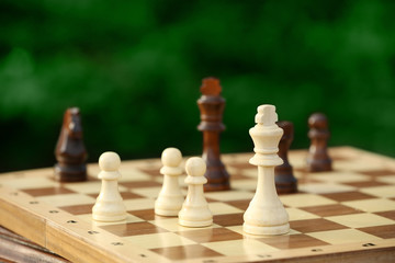 Chess pieces and game board on nature background