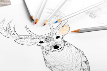 Coloring of deer with pencils on wooden table, close up