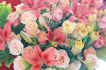 The background of the beautiful flowers 