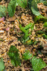 Close up of Spicy minced pork salad.